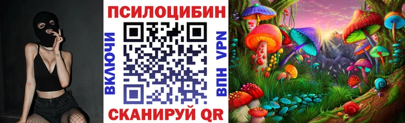 даркнет сайт  Каргополь  Галлюциногенные грибы ЛСД 